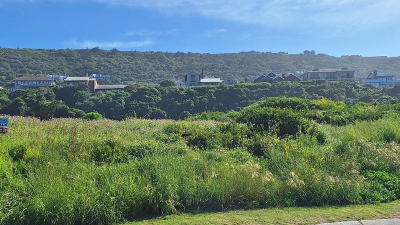 0 Bedroom Property for Sale in Outeniqua Strand Western Cape